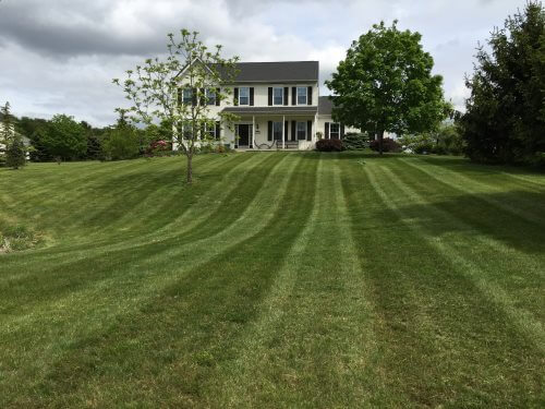 Residential Weekly Lawn Service Lansdale, PA